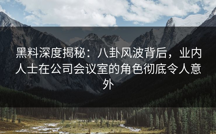 黑料深度揭秘：八卦风波背后，业内人士在公司会议室的角色彻底令人意外