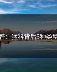 黑料科普：猛料背后3种类型的隐情