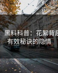 【震惊】黑料科普：花絮背后5条亲测有效秘诀的隐情