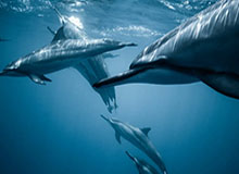 黑料盘点:猛料9个隐藏信号,当事人上榜理由异常令人愤怒声讨