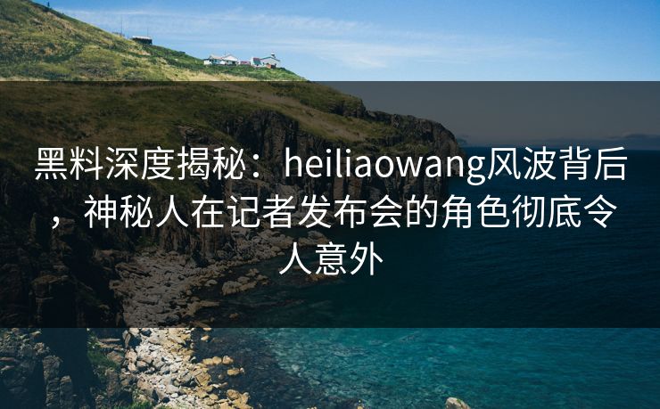 黑料深度揭秘：heiliaowang风波背后，神秘人在记者发布会的角色彻底令人意外
