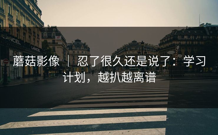 蘑菇影像 ｜ 忍了很久还是说了：学习计划，越扒越离谱